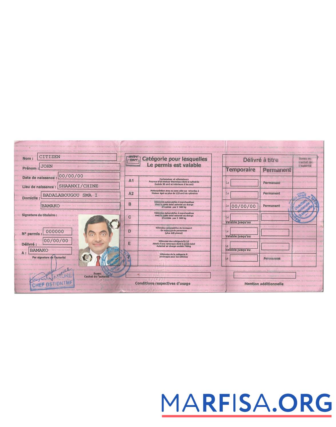 Blank Mali driving license real example